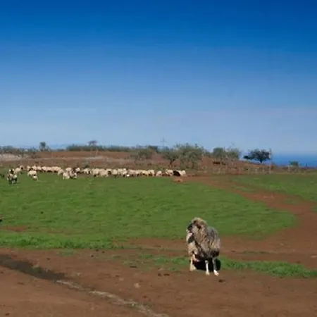 House Palominos Galdar * Juncalillo