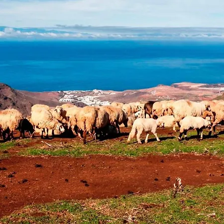 House Palominos Galdar * Juncalillo