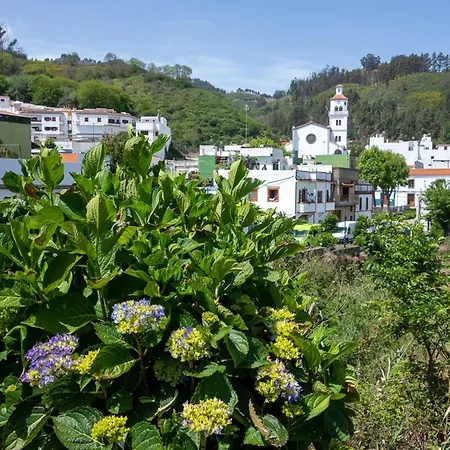 House Palominos Galdar Villa *